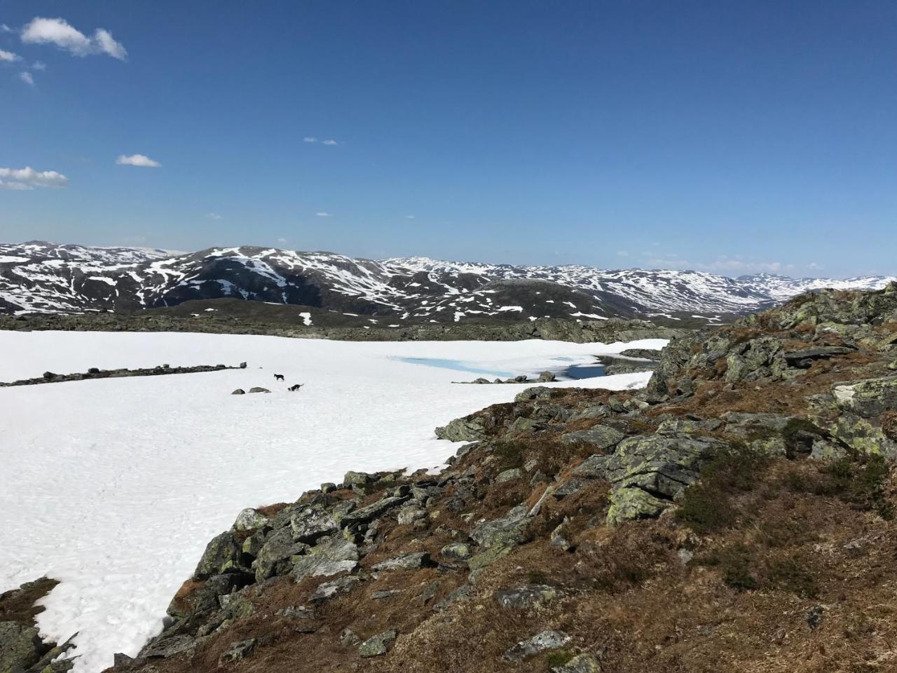 Voss Mountain Lodge Mjolfjell エクステリア 写真